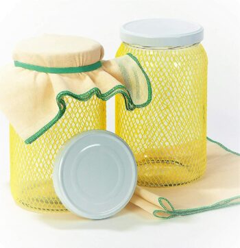 Bocaux fermentation kefir