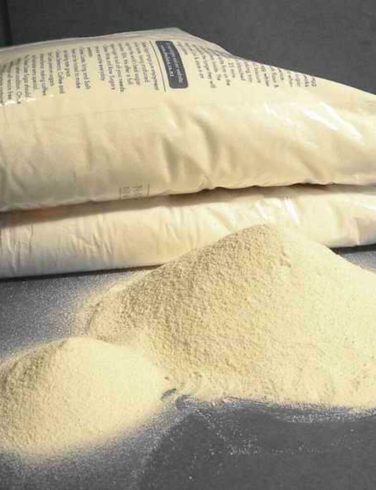 Gainer et musculation mon aventure pour prendre du poids 33 wheyproteine