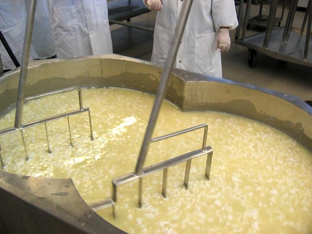Cooking Curds