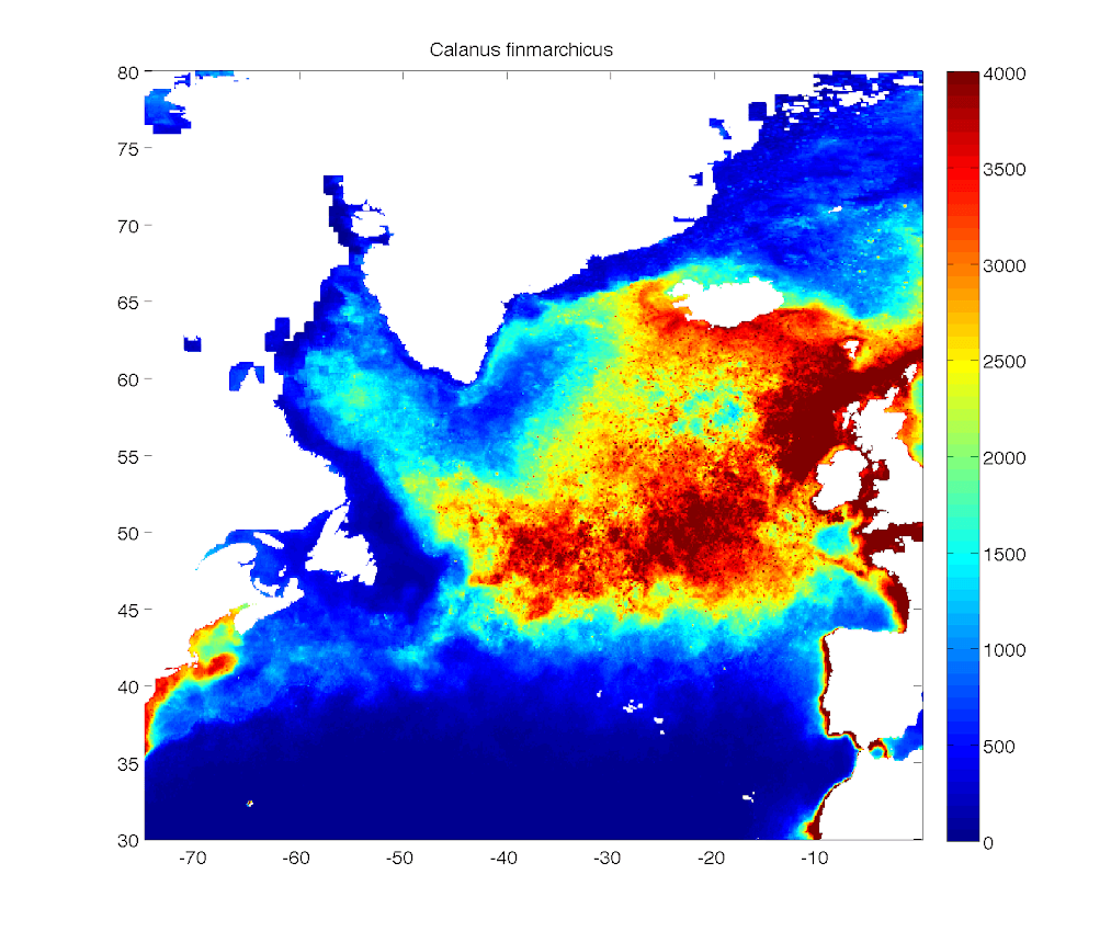 Population du Calanus