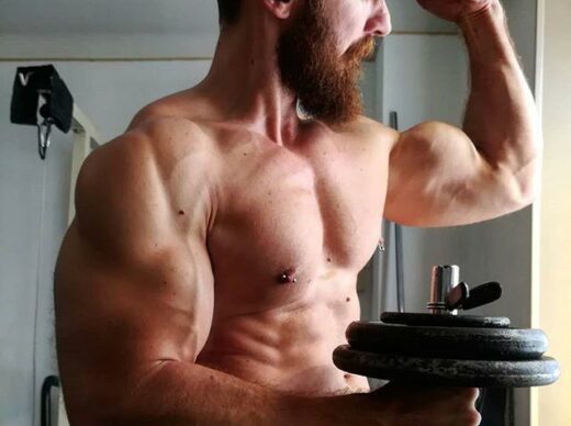 les morphotypes en musculation