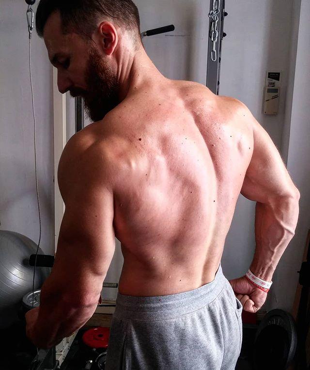 La régularité en musculation