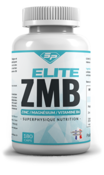 Elite ZMB SuperPhysique 3 ELITE ZMB face e1768230323929