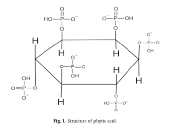 acide phytique