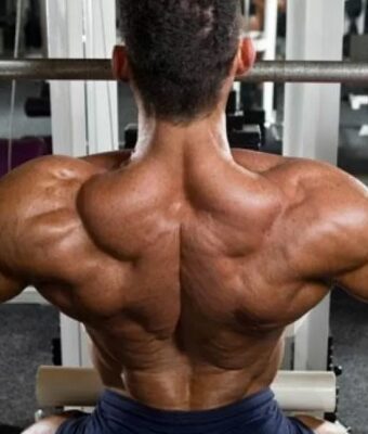 Quelle meilleure poulie de musculation choisir 65 tirage poulie haute homegym