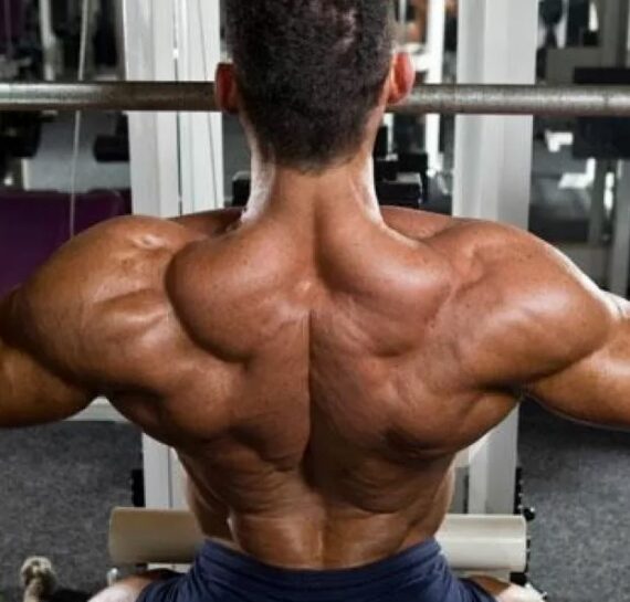 tirage poulie haute homegym